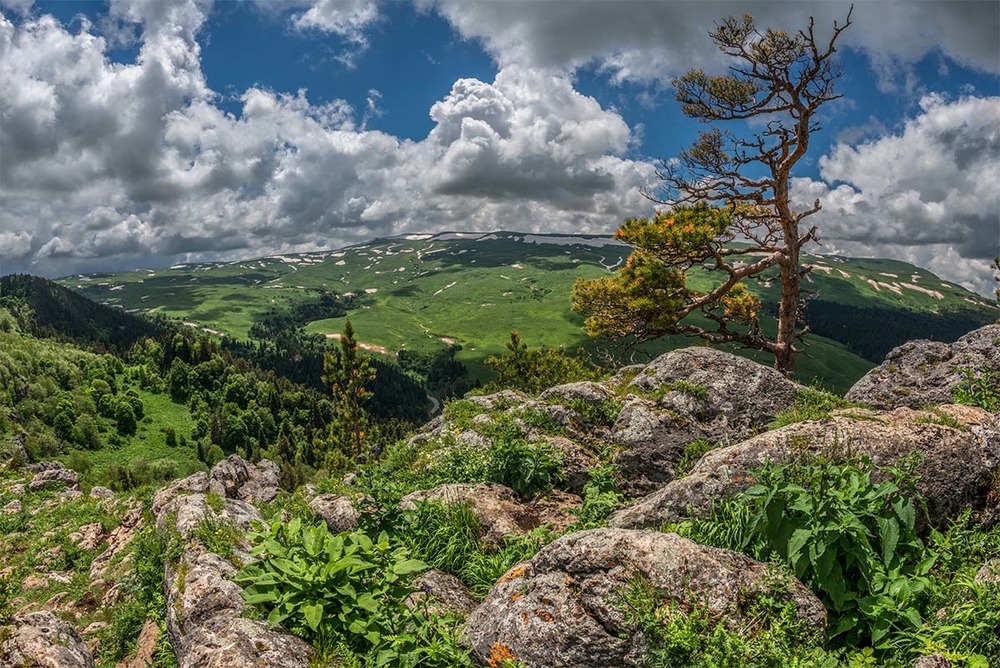 Лагонаки панорама