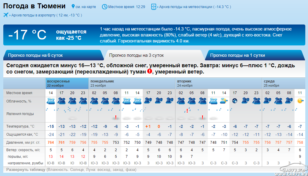 Погода р тюмени. Тюмень климат по месяцам. Температура в Тюмени. Погода в Тюмени. Пигоди Тюмень.