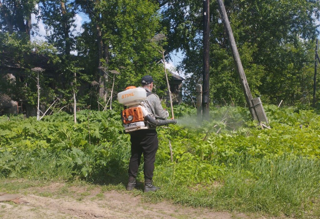 Погода в бежецке на 10 дней (тверская область, бежецкий район)