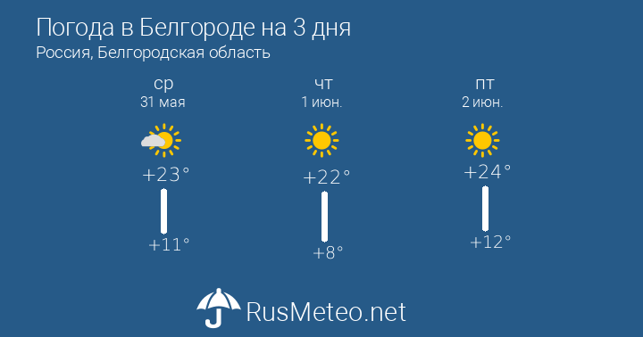 Погода в Белгороде сегодня по часам — температура, ветер, осадки, влажность